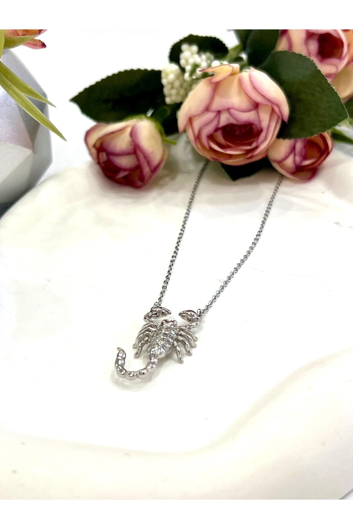 Üç Boyutlu Akrep Çelik Kolye (Silver-39/44cm) - Görsel 4