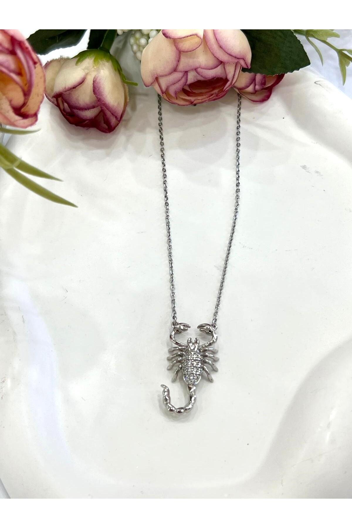 Üç Boyutlu Akrep Çelik Kolye (Silver-39/44cm) - Görsel 7