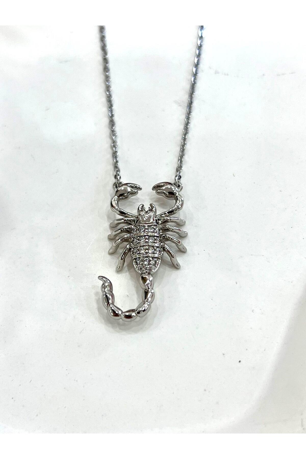 Üç Boyutlu Akrep Çelik Kolye (Silver-39/44cm) - Görsel 2