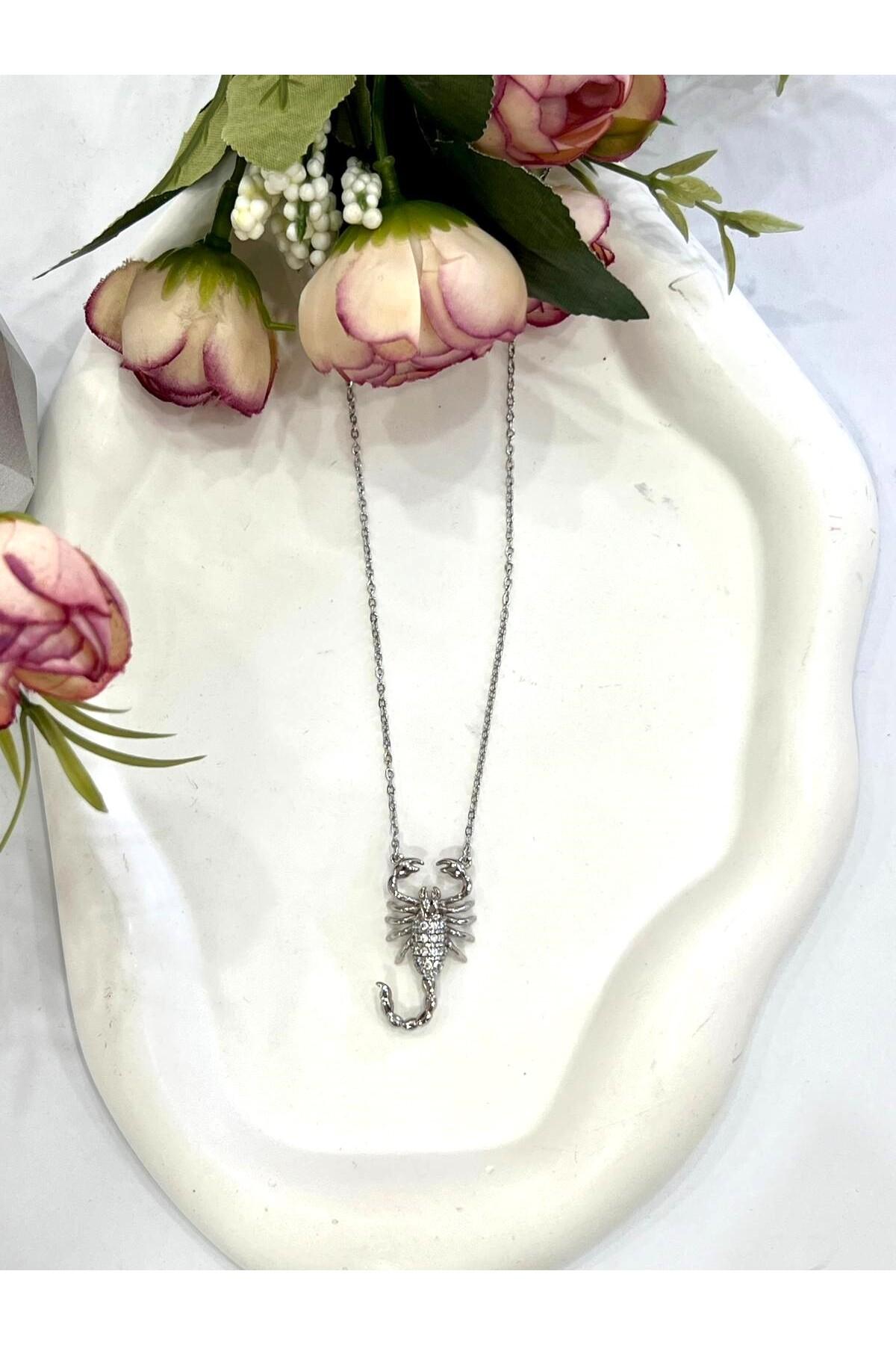 Üç Boyutlu Akrep Çelik Kolye (Silver-39/44cm) - Görsel 6