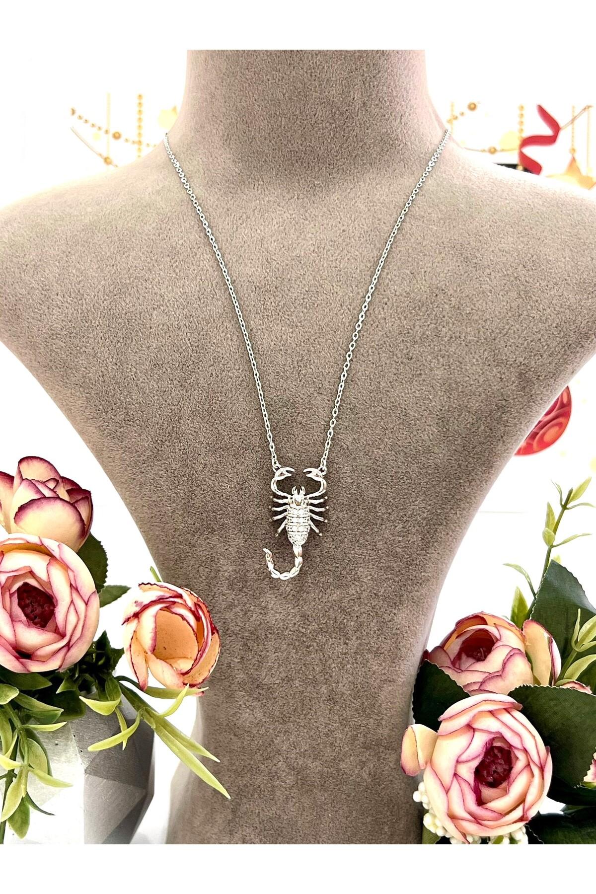 Üç Boyutlu Akrep Çelik Kolye (Silver-39/44cm) - Görsel 3