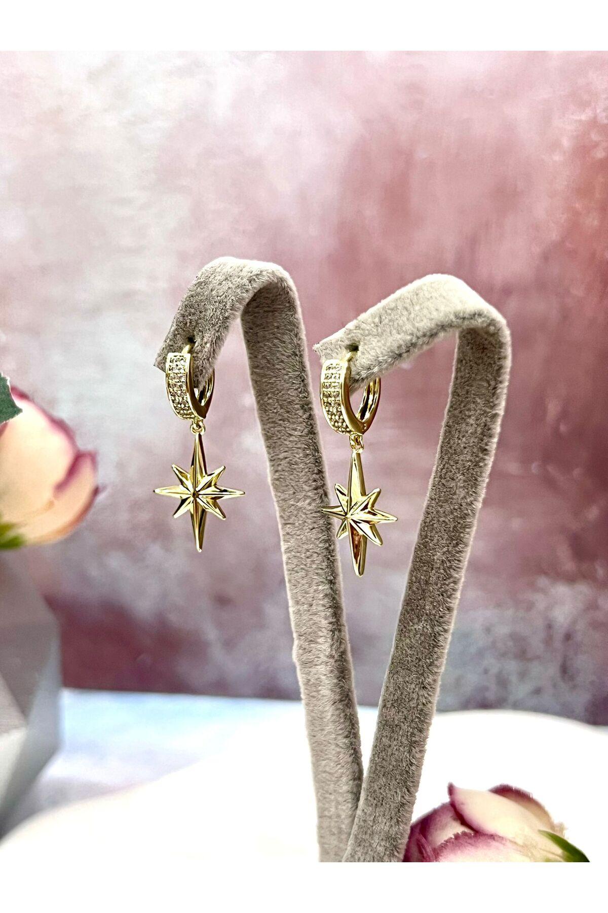 Kutup Yıldızı Sallantılı Taşlı Halka Küpe (14k Gold) - Görsel 3