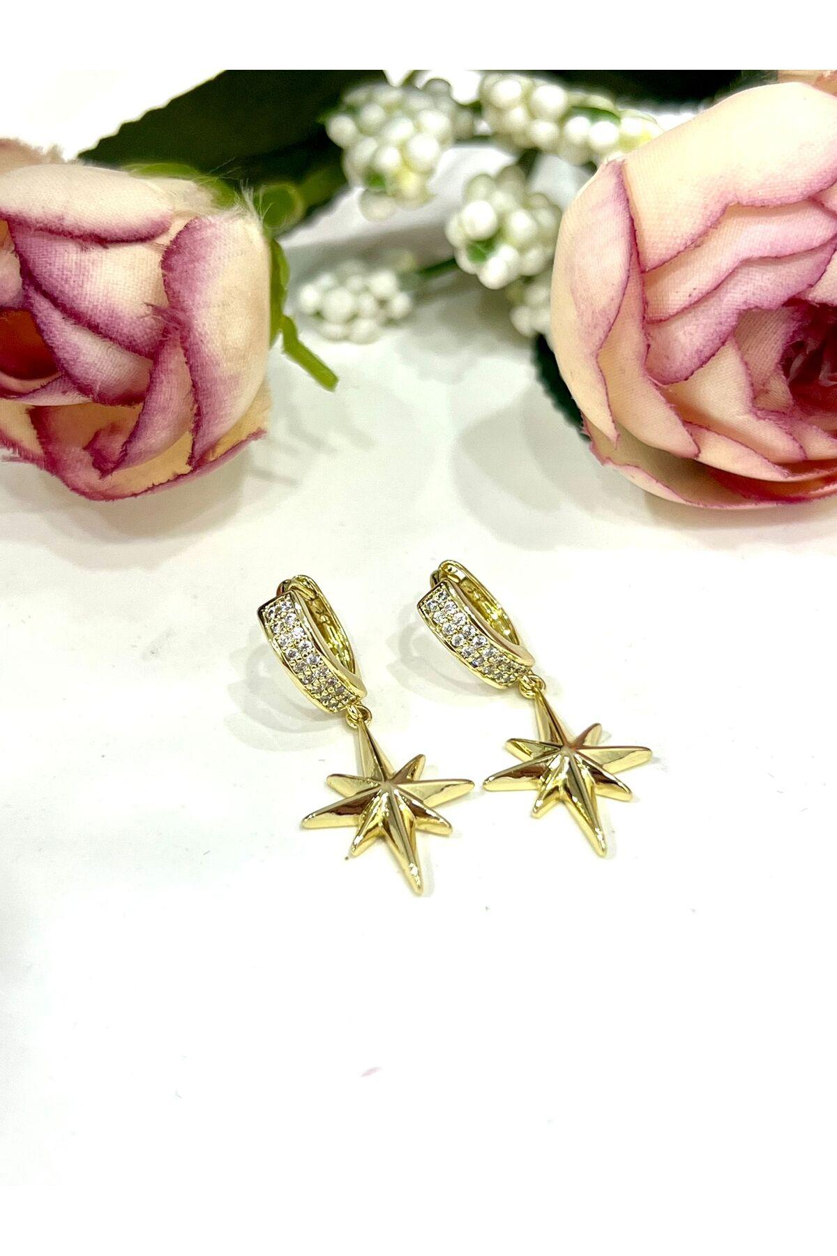 Kutup Yıldızı Sallantılı Taşlı Halka Küpe (14k Gold) - Görsel 5